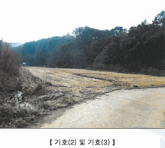 2025타경3004 강원특별자치도 삼척시 마평동 123-8 농지 경매 이미지