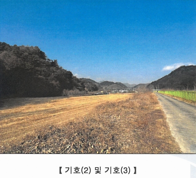2025타경3004 강원특별자치도 삼척시 마평동 123-8 농지 경매 이미지