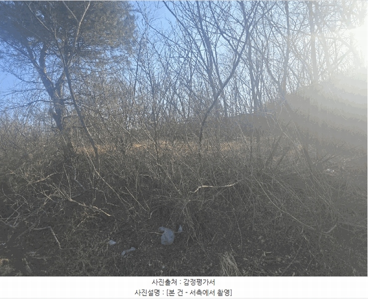2025타경30447 강원특별자치도 강릉시 연곡면 행정리 210-19 임야 경매 이미지