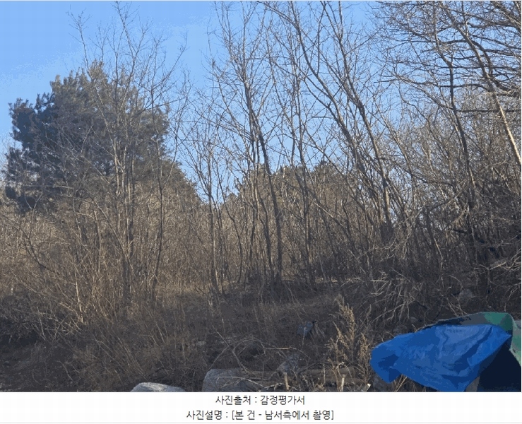 2025타경30447 강원특별자치도 강릉시 연곡면 행정리 210-19 임야 경매 이미지