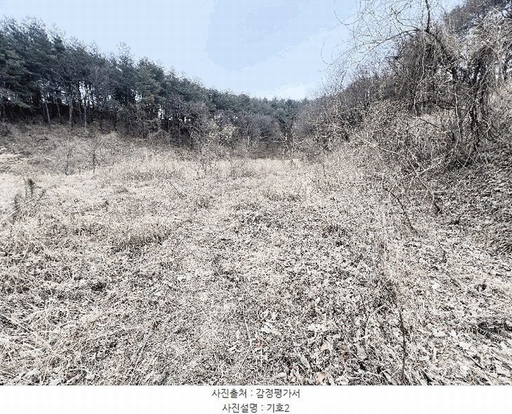 2025타경30449 강원특별자치도 강릉시 성산면 위촌리 537 농지 경매 이미지