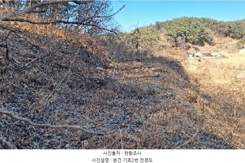 2025타경30449 강원특별자치도 강릉시 성산면 위촌리 537 농지 경매 이미지