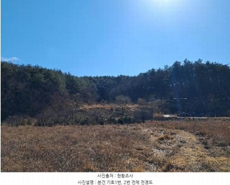 2025타경30449 강원특별자치도 강릉시 성산면 위촌리 537 농지 경매 이미지