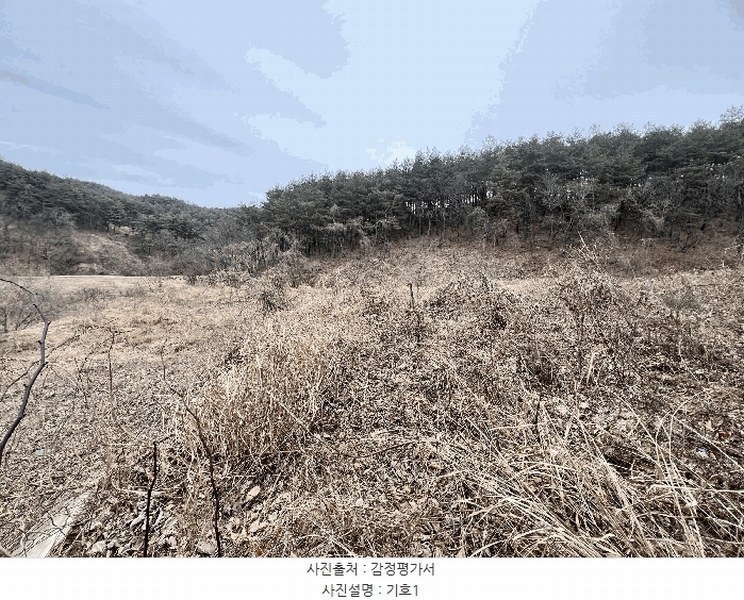 2025타경30449 강원특별자치도 강릉시 성산면 위촌리 537 농지 경매 이미지