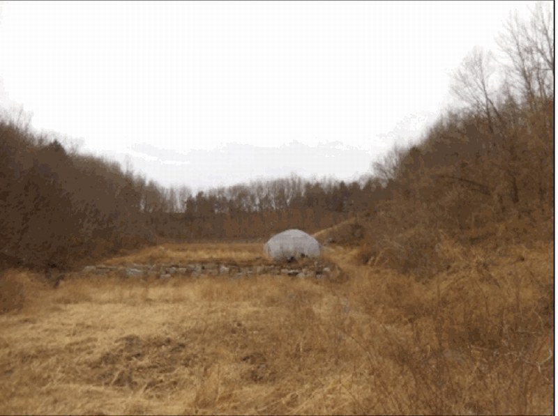 2025타경30460 강원특별자치도 강릉시 사천면 방동리 산219-2 임야 경매 이미지