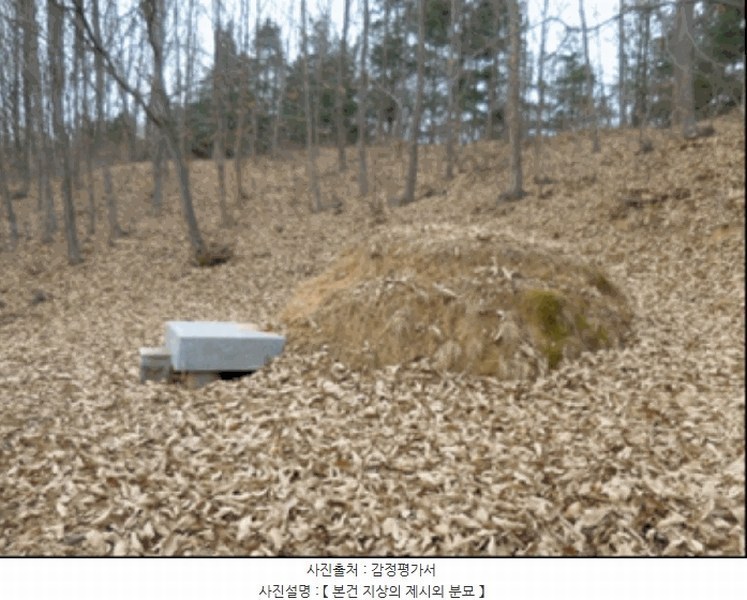 2025타경30460 강원특별자치도 강릉시 사천면 방동리 산219-2 임야 경매 이미지