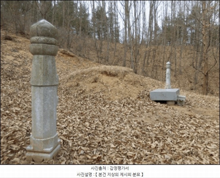 2025타경30460 강원특별자치도 강릉시 사천면 방동리 산219-2 임야 경매 이미지