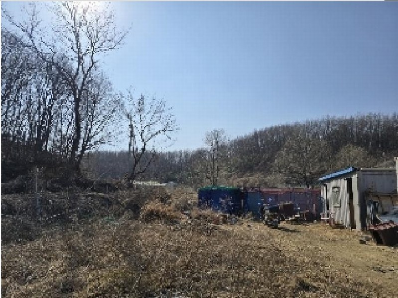 2025타경30460 강원특별자치도 강릉시 사천면 방동리 산219-2 임야 경매 이미지