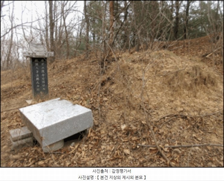 2025타경30460 강원특별자치도 강릉시 사천면 방동리 산219-2 임야 경매 이미지