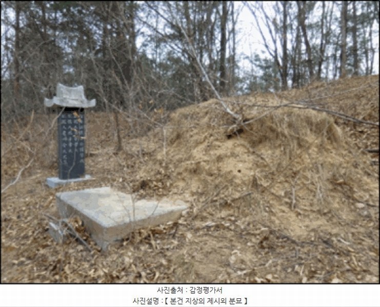 2025타경30460 강원특별자치도 강릉시 사천면 방동리 산219-2 임야 경매 이미지