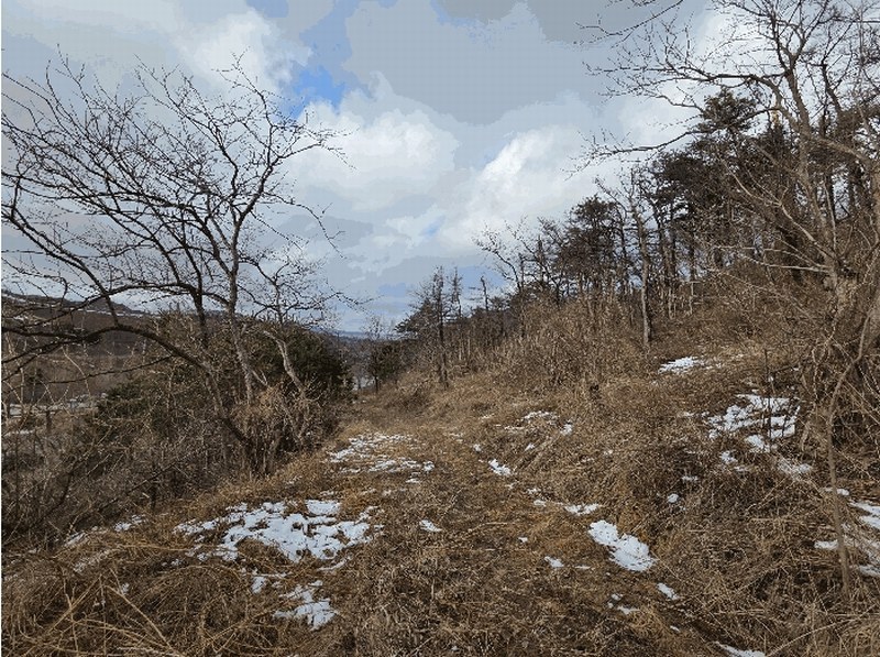 2025타경30477 강원특별자치도 동해시 발한동 산31-6 임야 경매 이미지