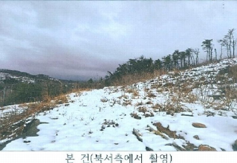 2025타경30477 강원특별자치도 동해시 발한동 산31-6 임야 경매 이미지