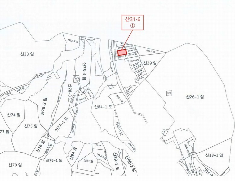 2025타경30477 강원특별자치도 동해시 발한동 산31-6 임야 경매 이미지