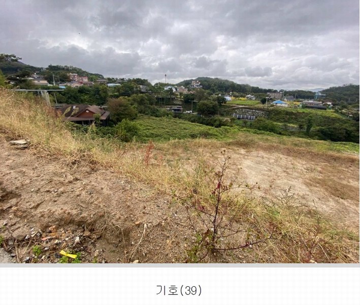 2022타경500132 강원특별자치도 원주시 소초면 흥양리 287 농지 경매 이미지