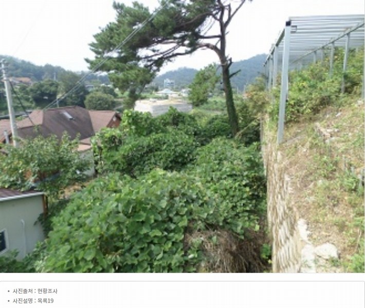 2022타경500132 강원특별자치도 원주시 소초면 흥양리 287 농지 경매 이미지
