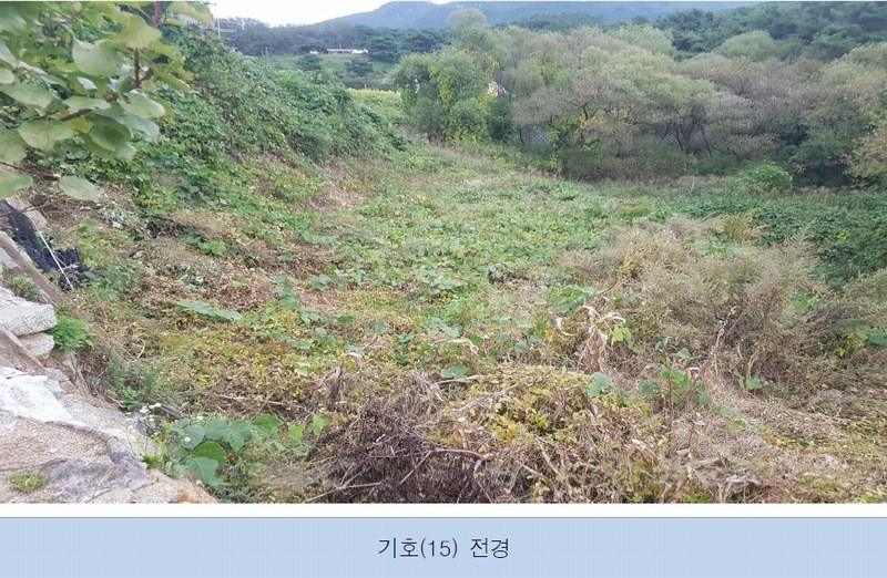 2022타경500132 강원특별자치도 원주시 소초면 흥양리 287 농지 경매 이미지