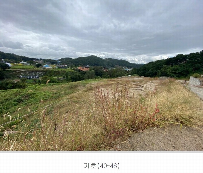 2022타경500132 강원특별자치도 원주시 소초면 흥양리 287 농지 경매 이미지