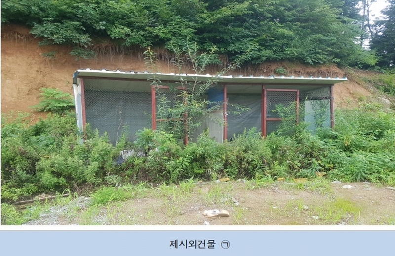 2023타경302786 강원특별자치도 원주시 지정면 신평리 451-1 임야 경매 이미지