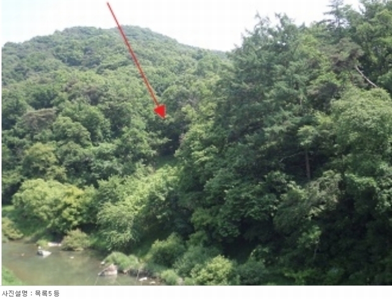 2023타경303321 강원특별자치도 원주시 흥업면 사제리 1641 임야 경매 이미지