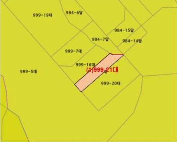 2024타경513 강원특별자치도 원주시 태장동 999-5 대지 경매 이미지