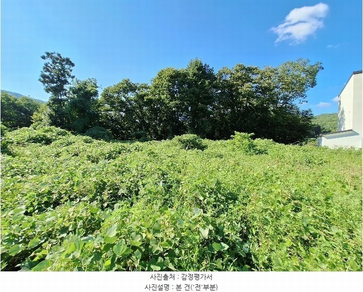 2024타경2090 강원특별자치도 원주시 지정면 판대리 산120-1 임야 경매 이미지