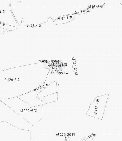 2024타경2090 강원특별자치도 원주시 지정면 판대리 산120-1 임야 경매 이미지