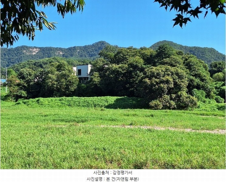 2024타경2090 강원특별자치도 원주시 지정면 판대리 산120-1 임야 경매 이미지