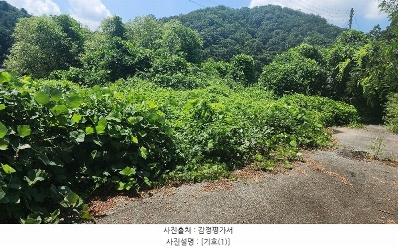 2024타경2335 강원특별자치도 원주시 지정면 판대리 556-4 임야 경매 이미지