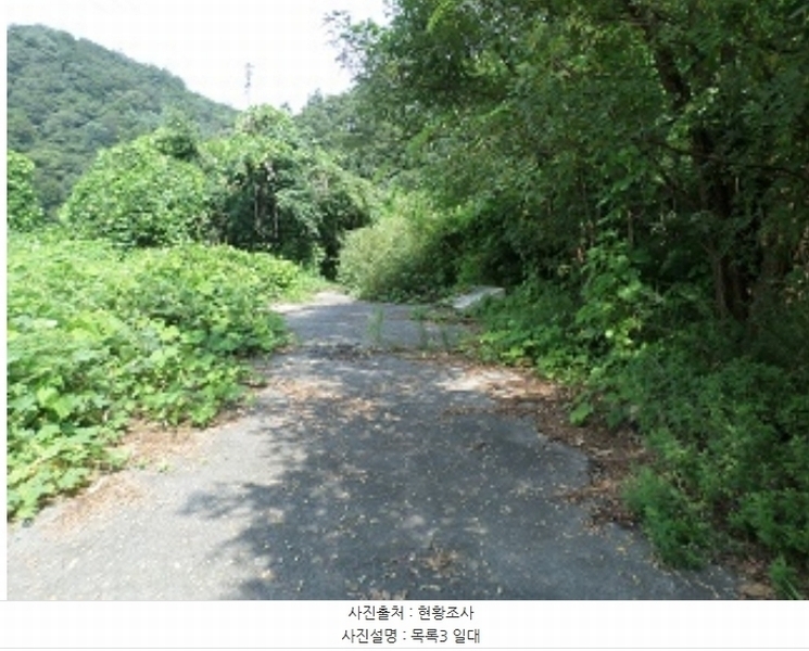 2024타경2335 강원특별자치도 원주시 지정면 판대리 556-4 임야 경매 이미지