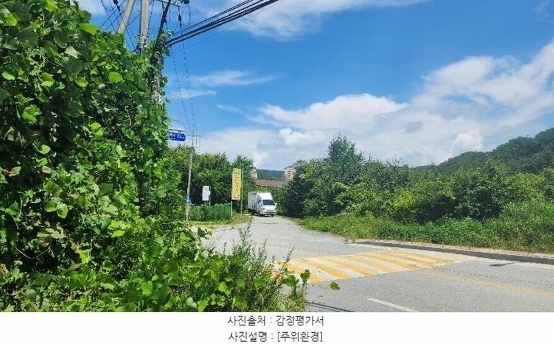 2024타경2335 강원특별자치도 원주시 지정면 판대리 556-4 임야 경매 이미지