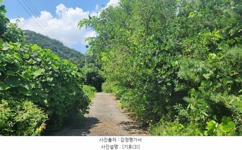 2024타경2335 강원특별자치도 원주시 지정면 판대리 556-4 임야 경매 이미지