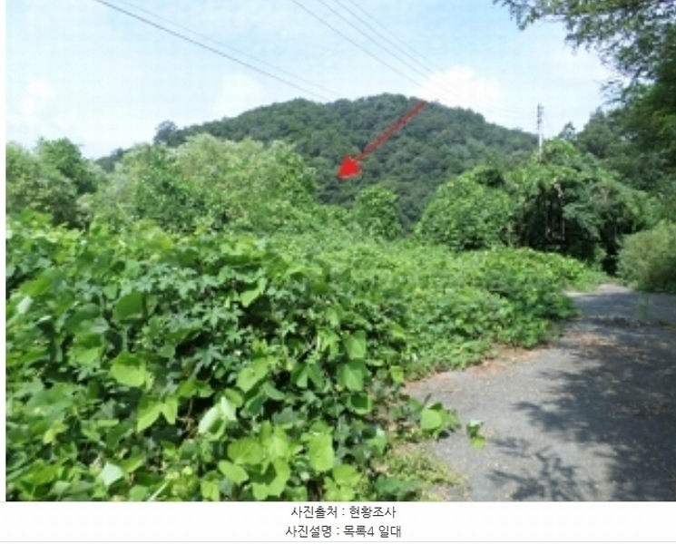 2024타경2335 강원특별자치도 원주시 지정면 판대리 556-4 임야 경매 이미지