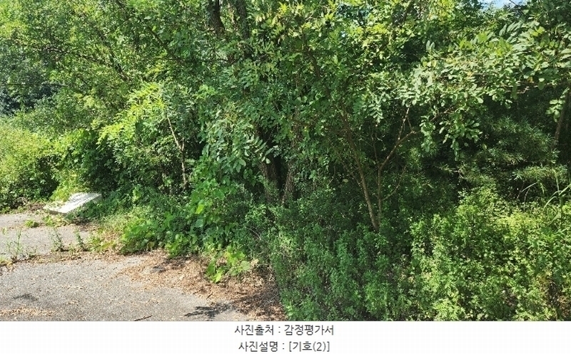 2024타경2335 강원특별자치도 원주시 지정면 판대리 556-4 임야 경매 이미지