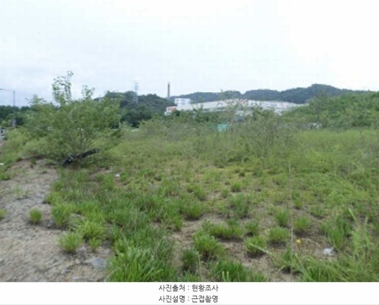 2024타경2434 강원특별자치도 원주시 지정면 신평리 1114-5 대지 경매 이미지