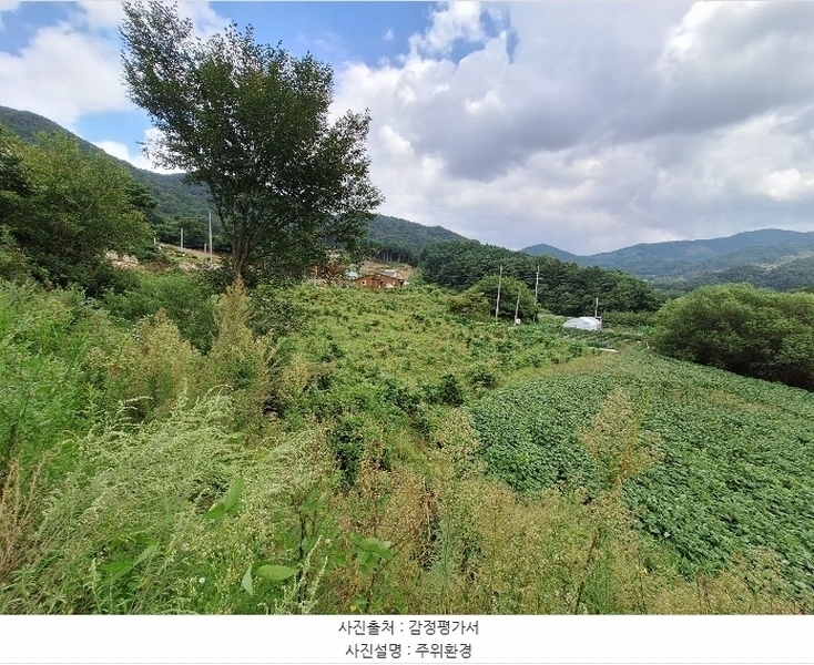 2024타경2540 강원특별자치도 횡성군 둔내면 조항리 492-10 농지 경매 이미지