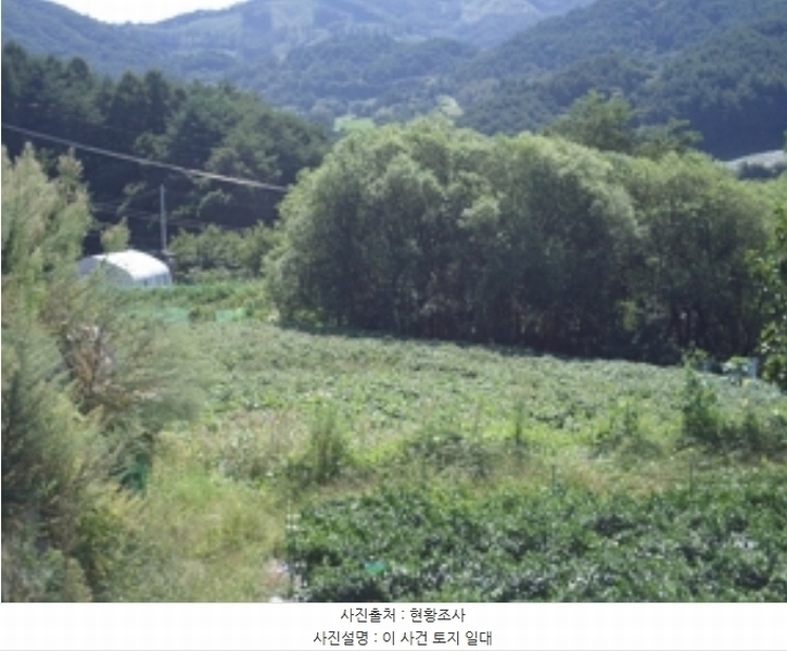 2024타경2540 강원특별자치도 횡성군 둔내면 조항리 492-10 농지 경매 이미지