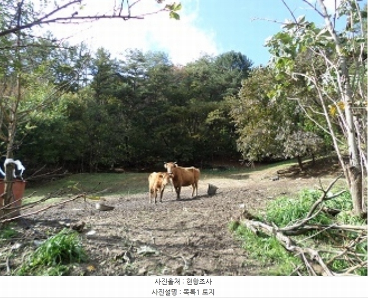 2024타경2892 강원특별자치도 횡성군 청일면 유동리 282-2 주택 경매 이미지