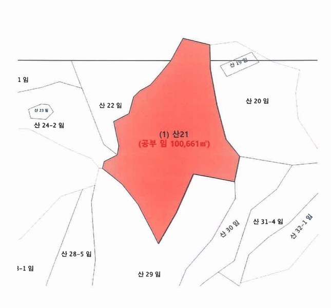 2024타경3079 강원특별자치도 원주시 흥업면 사제리 산21 임야 경매 이미지