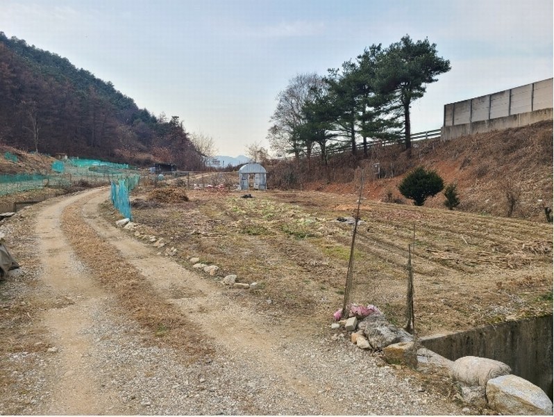 2024타경3215 강원특별자치도 원주시 문막읍 포진리 276-6 농지 경매 이미지