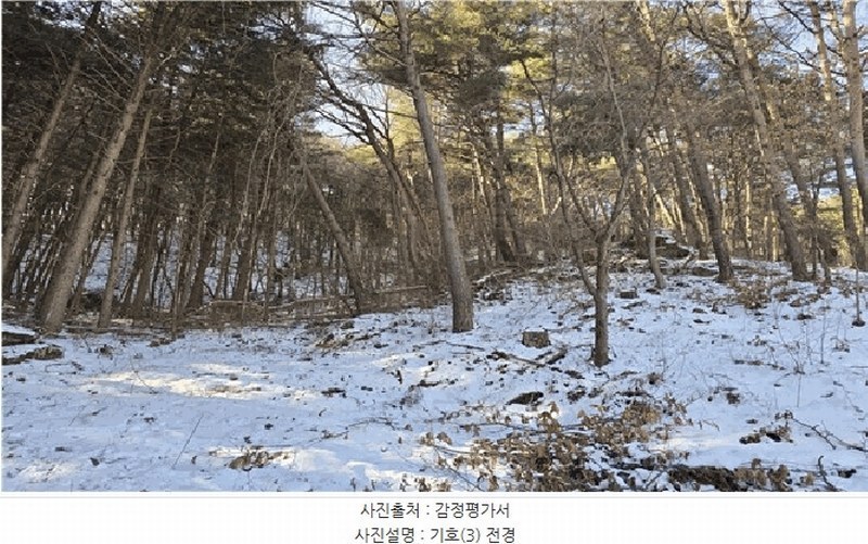 2024타경3277 강원특별자치도 횡성군 둔내면 둔방내리 230-32 임야 경매 이미지