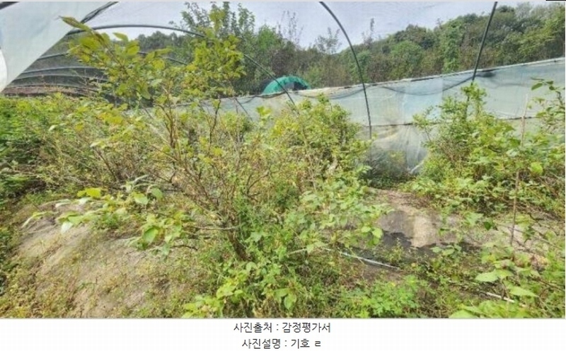 2024타경404665 강원특별자치도 원주시 호저면 주산리 1093-1 농지 경매 이미지