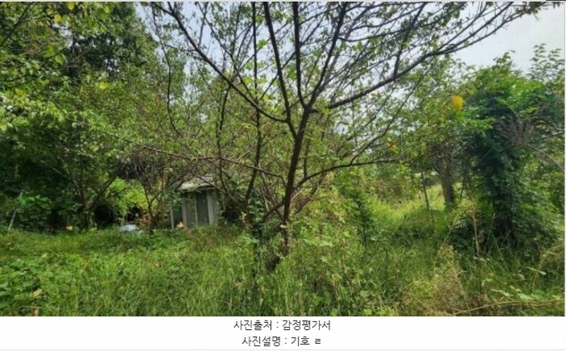 2024타경404665 강원특별자치도 원주시 호저면 주산리 1093-1 농지 경매 이미지