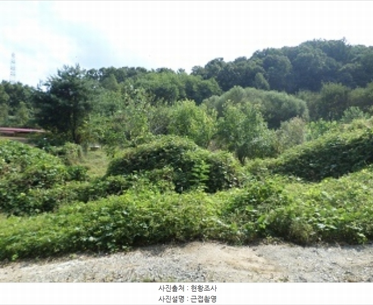 2024타경404665 강원특별자치도 원주시 호저면 주산리 1093-1 농지 경매 이미지