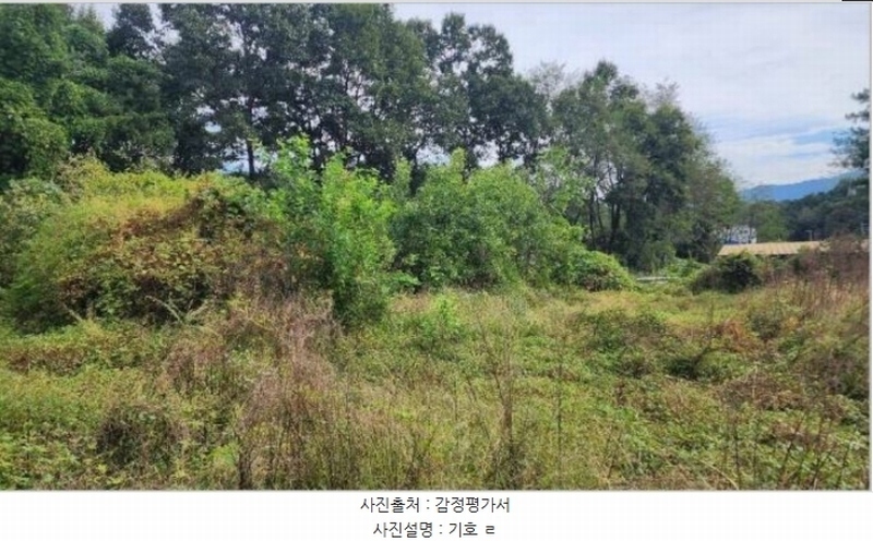 2024타경404665 강원특별자치도 원주시 호저면 주산리 1093-1 농지 경매 이미지
