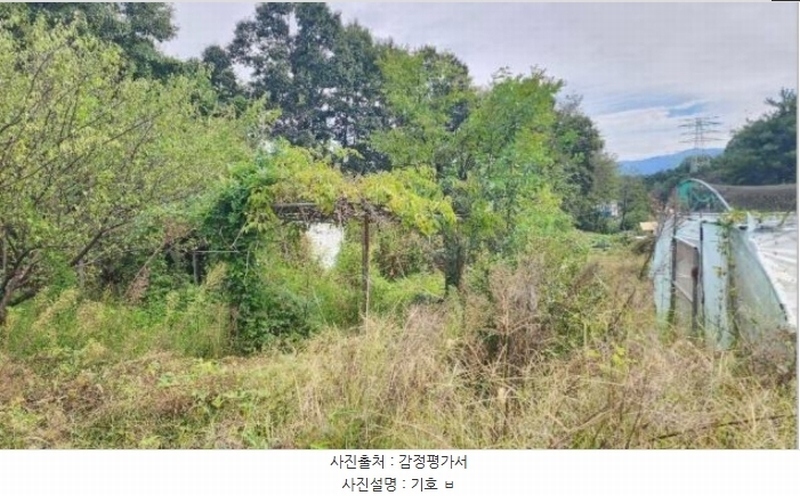 2024타경404665 강원특별자치도 원주시 호저면 주산리 1093-1 농지 경매 이미지