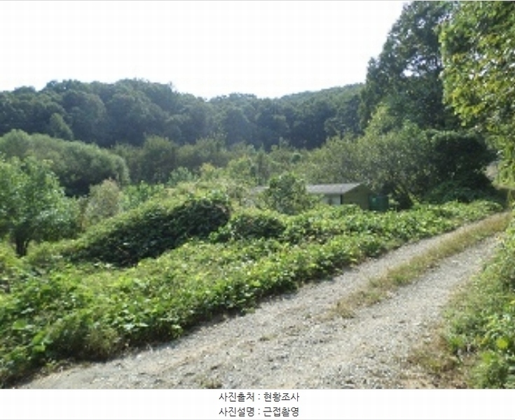2024타경404665 강원특별자치도 원주시 호저면 주산리 1093-1 농지 경매 이미지