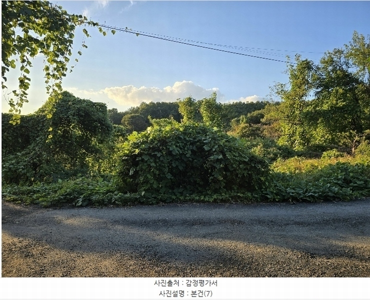 2024타경404733 강원특별자치도 원주시 소초면 둔둔리 22-10 근린주택 경매 이미지