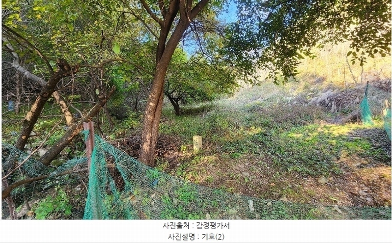 2024타경405699 강원특별자치도 원주시 신림면 성남리 75-1 농지 경매 이미지