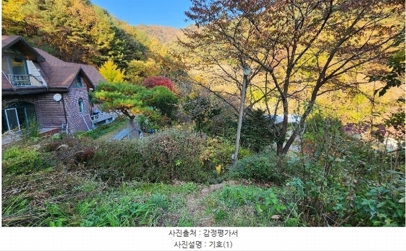 2024타경405699 강원특별자치도 원주시 신림면 성남리 75-1 농지 경매 이미지