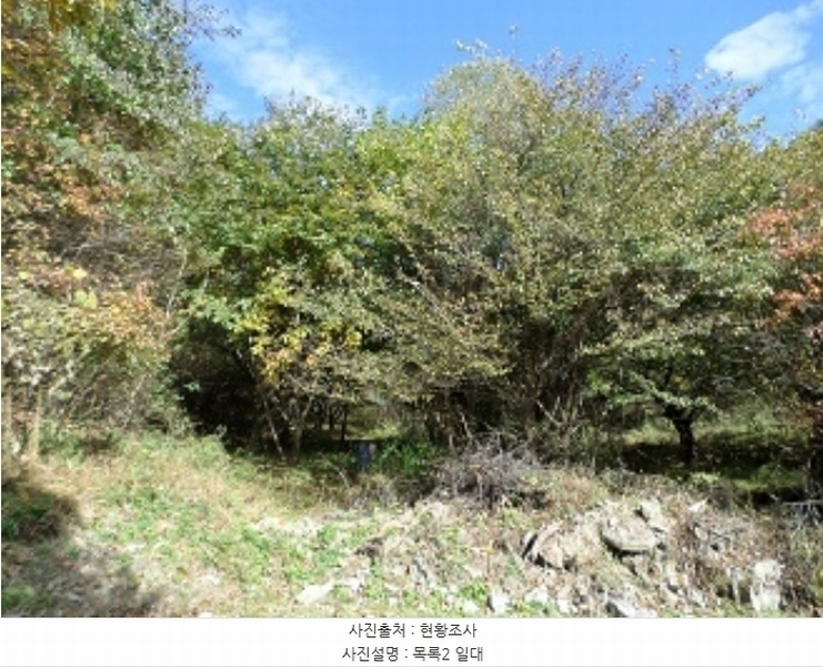 2024타경405699 강원특별자치도 원주시 신림면 성남리 75-1 농지 경매 이미지